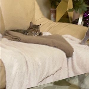 Meet your Posher, Josiane